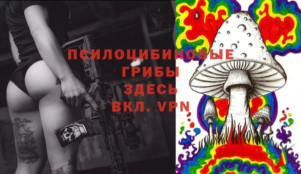 mix Богородицк