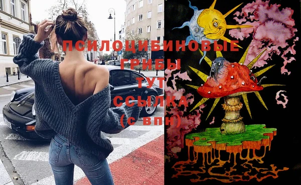 MDMA Богородск